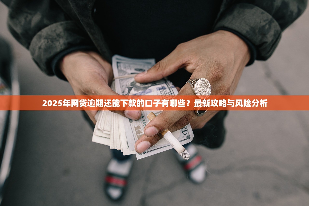 金巴克系列口子有哪些？這5個靠譜渠道輕松解決資金需求