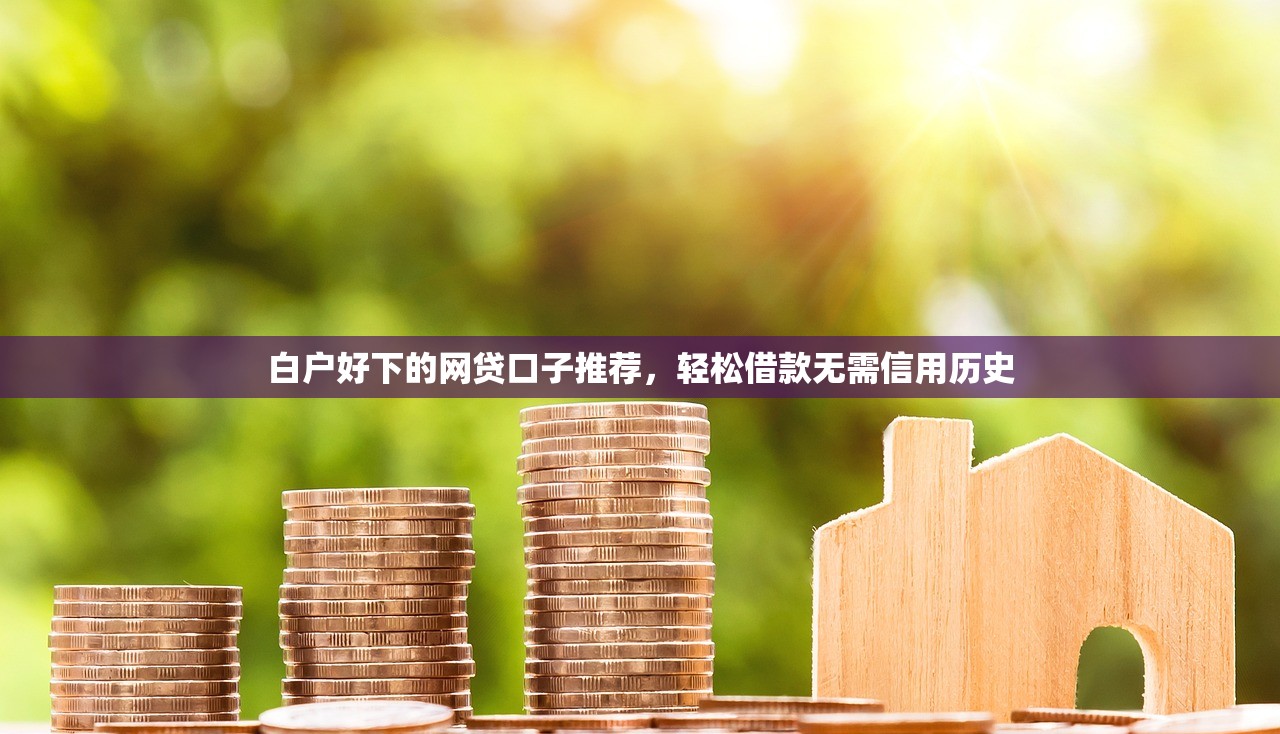 征信差有哪些貸款口子？這5個渠道審核快、門檻低