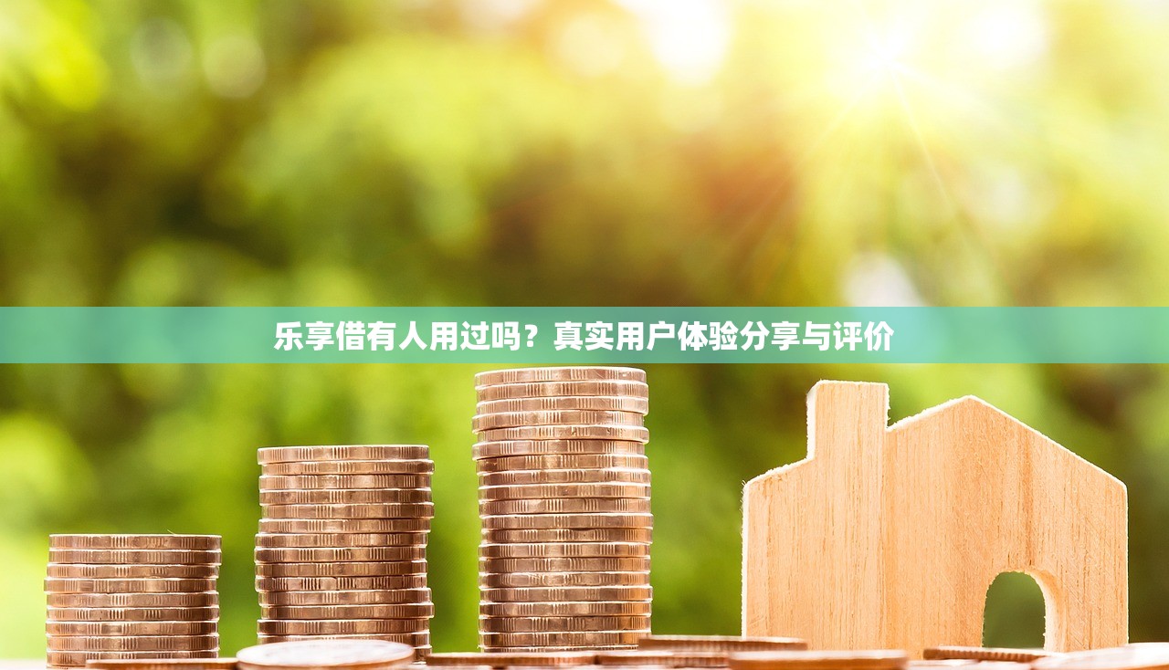 樂享借有人用過嗎？真實用戶體驗分享與評價