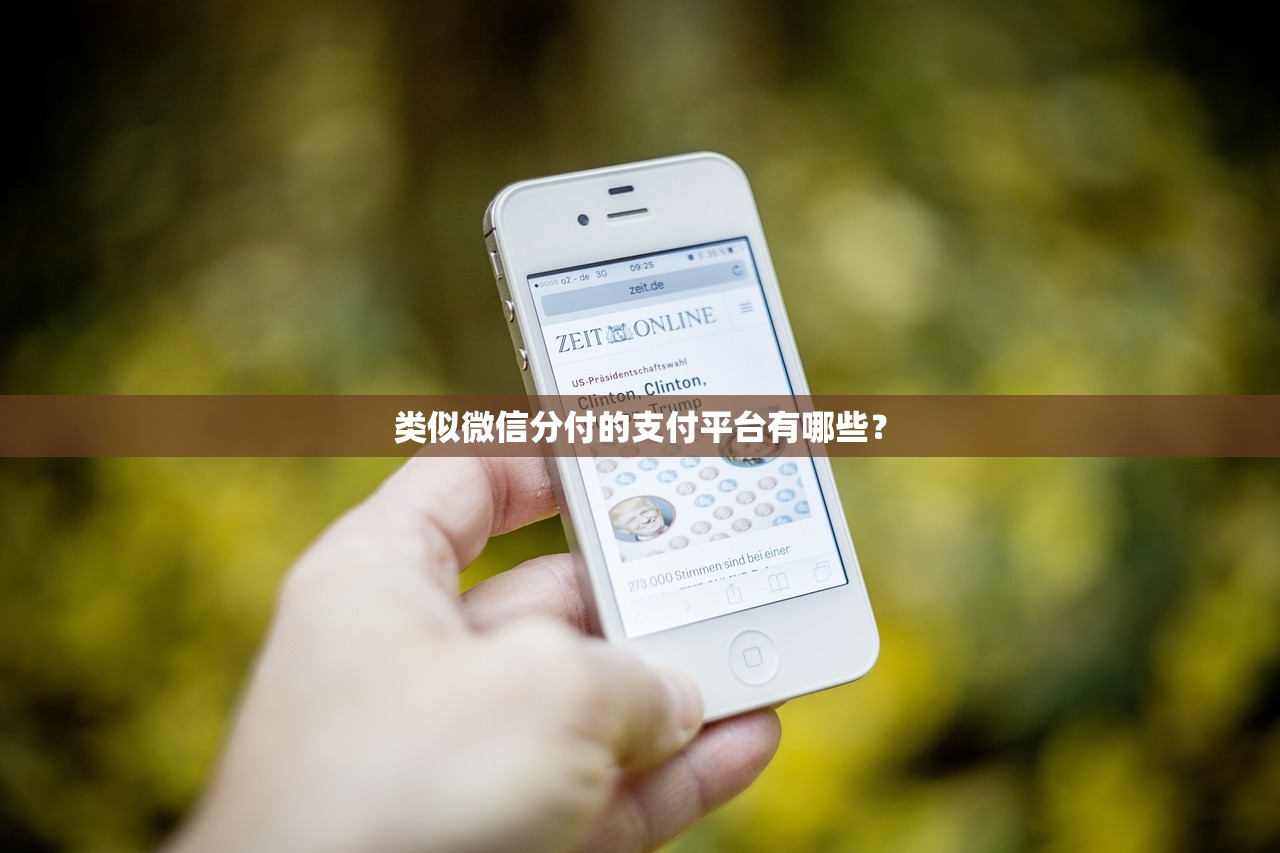 類似微信分付的支付平臺有哪些？