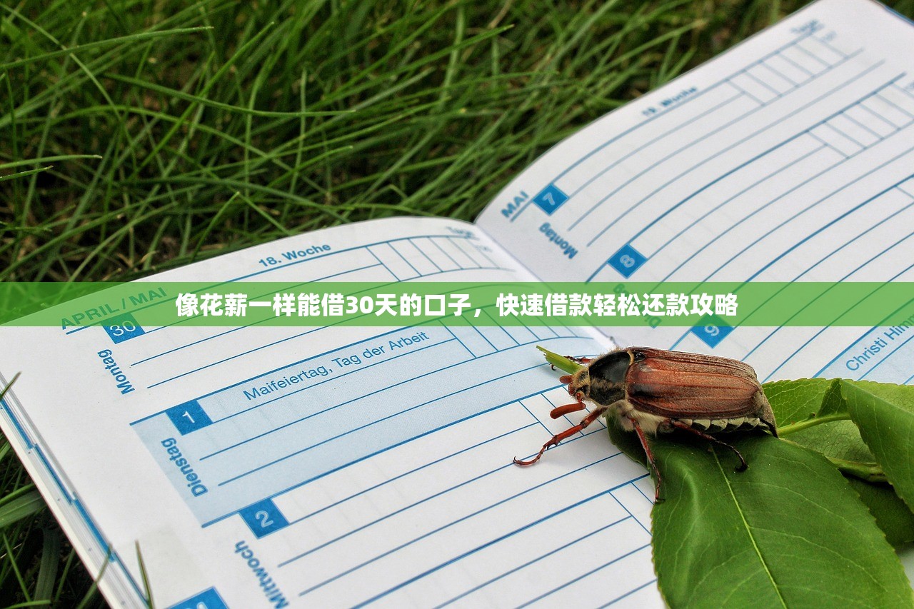 小額貸款3000元秒下款真實(shí)測評！如何快速申請到賬？
