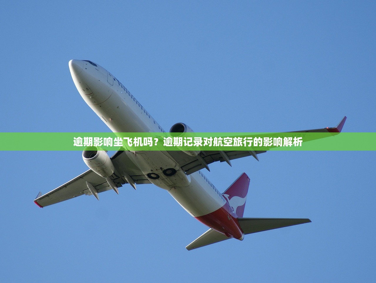 征信黑花了怎么辦最簡單？3步修復信用真實經驗