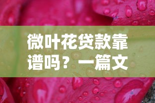 2025不審核直接放款的網貸有哪些？這5個平臺下款快門檻低