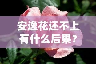 駕駛證貸款的軟件有哪些？這5個平臺審核快、額度高