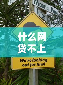 征信花了光大好過嗎？這3個“加分項”幫你快速下款