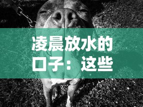 貝才網地址在哪？3分鐘說透貸款平臺怎么選才靠譜