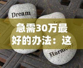 上海24小時私人上門放款真實體驗分享！這些細(xì)節(jié)要注意