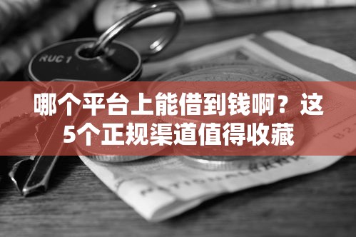 駕照貸額度貸款口子怎么申請？老司機分享快速下款技巧