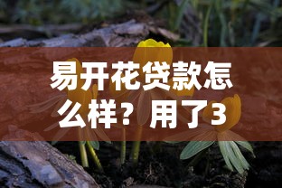 黑花白戶都能辦借款口子？這5個低門檻平臺了解一下