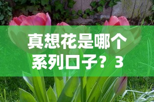不禮讓行人新規(guī)實(shí)施后罰款壓力大？這些貸款方案能解憂(yōu)