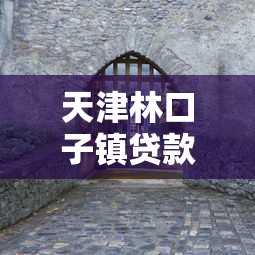 蟲蟲快借是哪個系列口子？這幾點幫你快速找到平臺