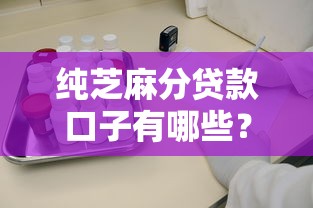 純芝麻分貸款口子有哪些？實(shí)測5個靠譜平臺