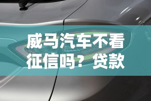威馬汽車不看征信嗎？貸款買車前必須知道的5個細節