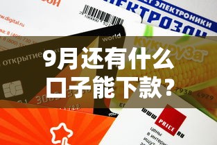 9月還有什么口子能下款？這5個靠譜平臺審核快、額度高
