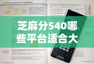 芝麻分540哪些平臺適合大額消費借款？實測這5家通過率高