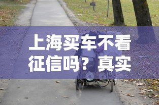 上海買(mǎi)車(chē)不看征信嗎？真實(shí)情況讓人意外！