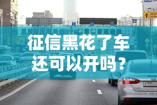 征信黑花了車還可以開嗎？這幾種方法或許能幫你解決難題