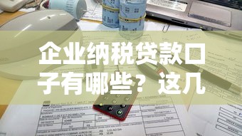 企業(yè)納稅貸款口子有哪些？這幾個(gè)正規(guī)渠道成功率更高