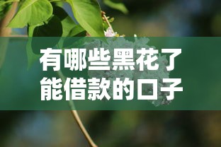 有哪些黑花了能借款的口子？這幾個方法值得試試