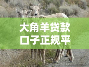 大角羊貸款口子正規(guī)平臺怎么選？3個避坑技巧+靠譜推薦指南
