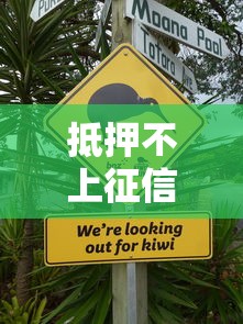 抵押不上征信會怎樣？這三點風險你必須知道