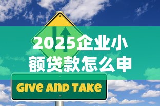 2025企業小額貸款怎么申請？最新政策解讀與平臺推薦