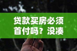貸款買房必須首付嗎？沒湊夠錢的人看完直拍大腿！
