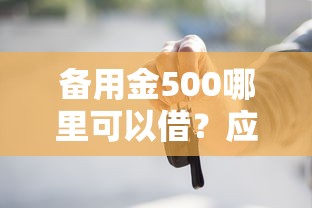 備用金500哪里可以借？應(yīng)急周轉(zhuǎn)首選這幾個正規(guī)渠道