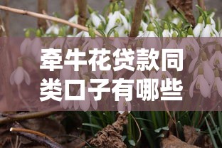 牽牛花貸款同類口子有哪些？這5個平臺真實(shí)評測告訴你答案