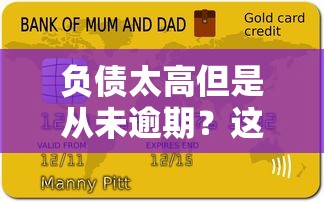負(fù)債太高但是從未逾期？這五家平臺竟然還能下款