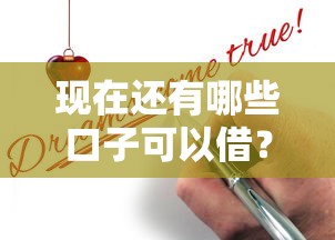 現在還有哪些口子可以借？實測5個靠譜渠道申請攻略