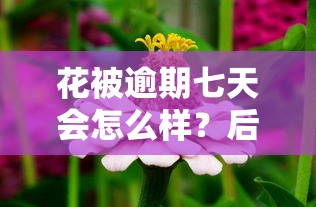 花被逾期七天會怎么樣？后果嚴重嗎？這幾點必須了解