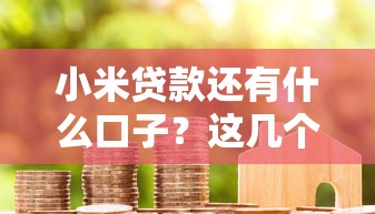小米貸款還有什么口子？這幾個靠譜平臺也能解燃眉之急