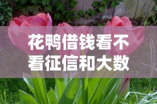 花鴨借錢看不看征信和大數(shù)據(jù)？用戶實(shí)測：這3點(diǎn)審核細(xì)節(jié)最關(guān)鍵