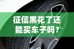 征信黑花了還能買車子嗎？老司機教你3招搞定貸款難題