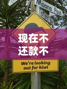 現在不還款不上征信怎么辦？這5個隱藏風險必須警惕