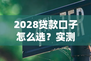 2028貸款口子怎么選？實測5大平臺避坑指南