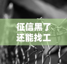 征信黑了還能找工作嗎？這3個(gè)行業(yè)門檻低、收入穩(wěn)