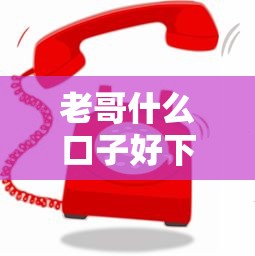 老哥什么口子好下款？這幾個平臺審核松、到賬快！