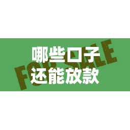 哪些口子還能放款？實測這幾個平臺審核快、額度高