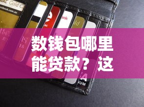 數錢包哪里能貸款？這5個口子親測有效！