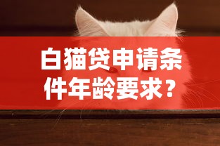 白貓貸申請條件年齡要求？這幾個關(guān)鍵點必須知道！