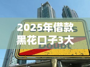 2025年借款黑花口子3大避坑技巧+正規渠道實測