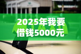 2025年我要借錢5000元：羅列5個不看欠款的貸款平臺