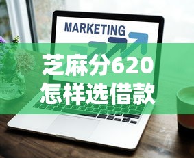 芝麻分620怎樣選借款期限？3個技巧省下30%利息