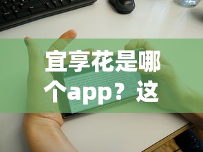 宜享花是哪個app？這3個功能讓貸款更省心