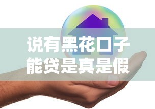 說有黑花口子能貸是真是假？過來人告訴你真實經(jīng)歷